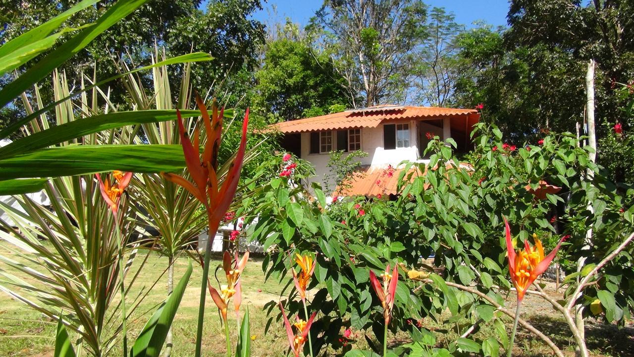 Cebaco Sunrise Lodge Isla Cebaco Eksteriør billede